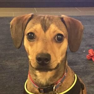 Meet your Posher, Scott